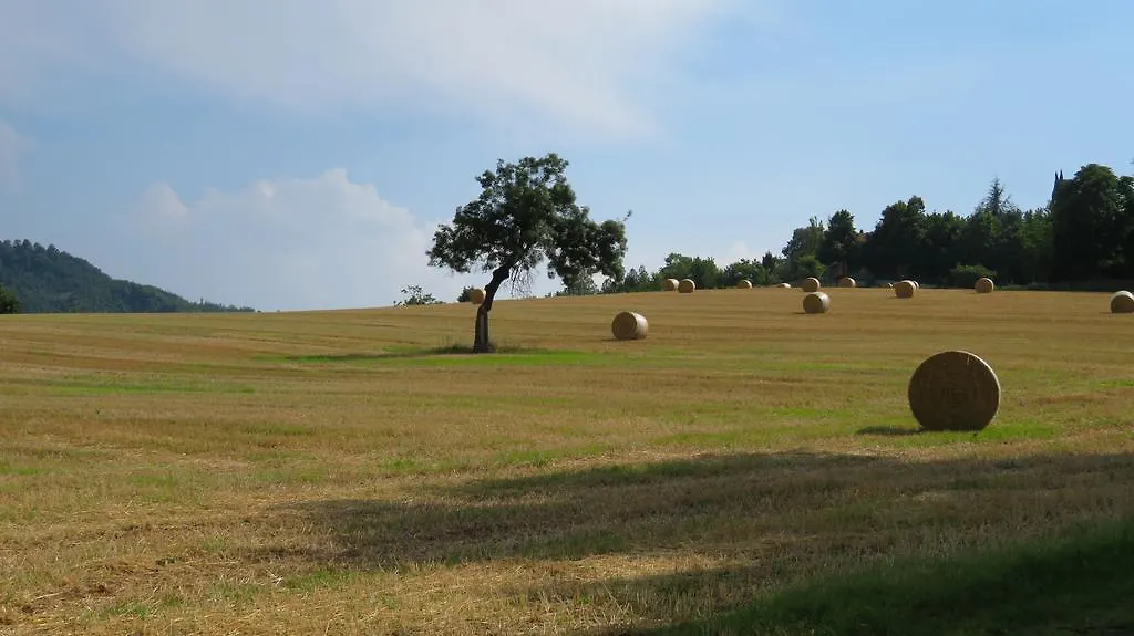 Locanda Gli Ulivi Monteveglio 0*,